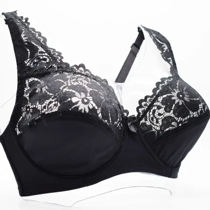 Plus Size Sheer Lace Bras - Image 2