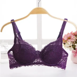 Sheer Lace Padded Bra