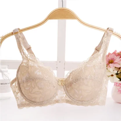 Sheer Lace Padded Bra - Image 5