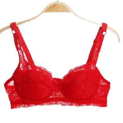 Sheer Lace Padded Bra - Image 6